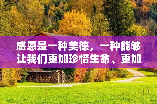 感恩是一种美德,一种能够让我们更加珍惜生命、更加感受生命的价值的情感。在我们的日常生活中,我们应该时刻铭记感恩之心,感恩我们所拥有的一切,感恩我们所遇到的每一个人和事。