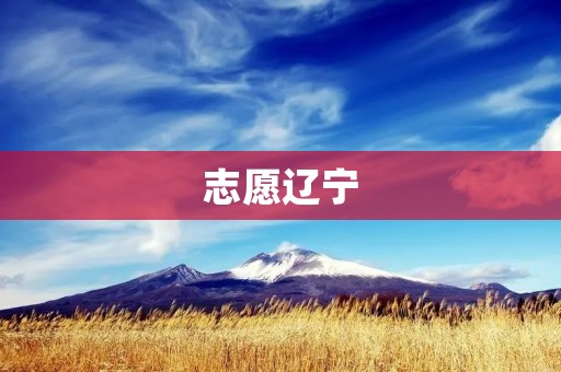 志愿辽宁：让志愿服务成为生活的一部分
