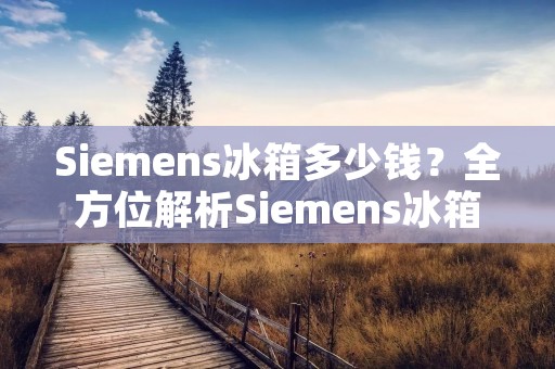 Siemens冰箱多少钱?全方位解析Siemens冰箱价格