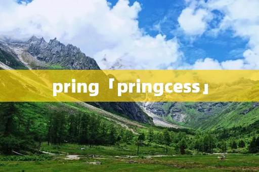 pring「pringcess」 pring「pringcess」