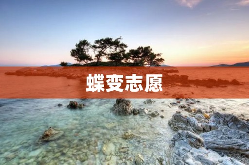 蝶变志愿：从关爱到成长