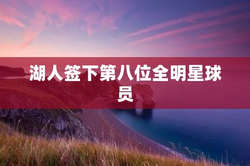湖人签下第八位全明星球员：实力再添一员猛将