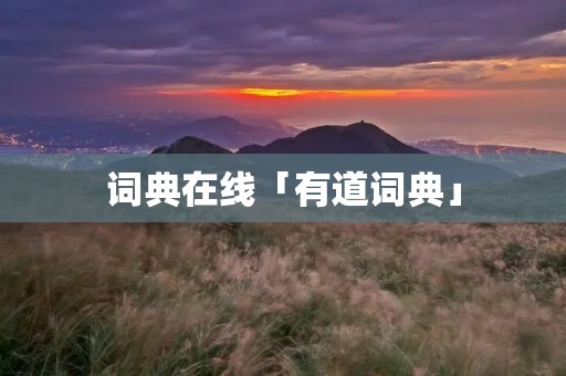 词典在线「有道词典」