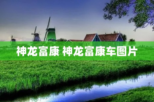 神龙富康 神龙富康车图片