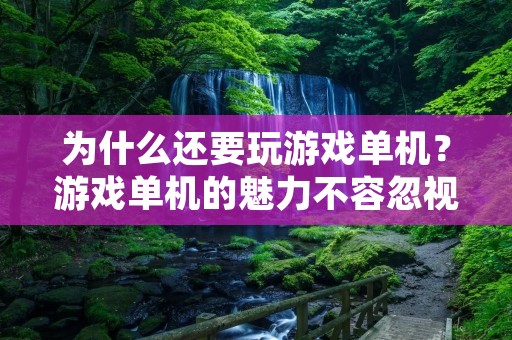 为什么还要玩游戏单机?游戏单机的魅力不容忽视!