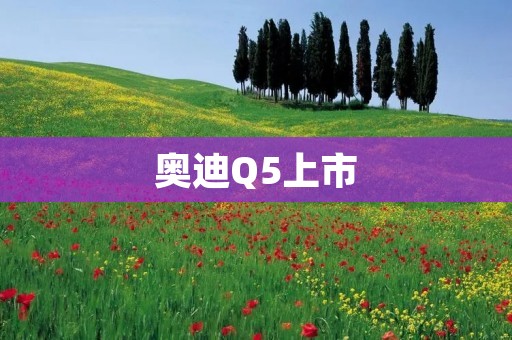 奥迪Q5上市：豪华SUV市场再添新利器