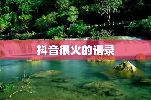 抖音很火的语录：探究抖音语录的流行现象及其背后的文化现象