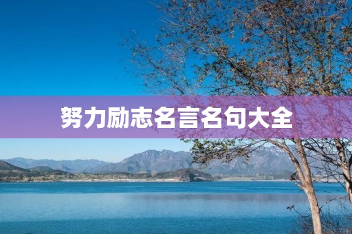 努力励志名言名句大全：激励你前行的力量