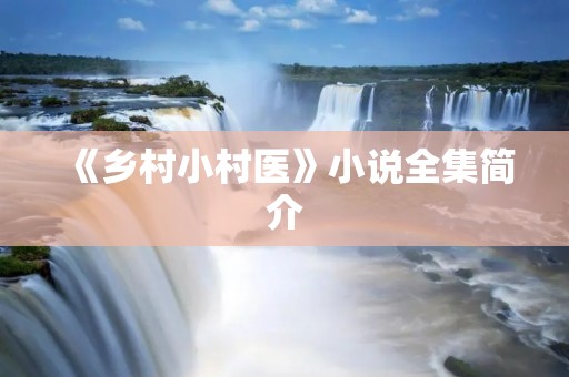 《乡村小村医》小说全集简介