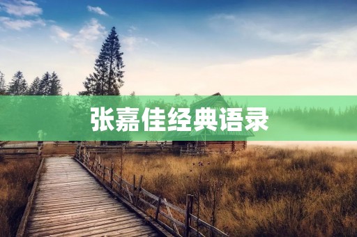 张嘉佳经典语录:掌握人生的智慧与力量 张嘉佳经典语录:掌握人生的智慧与力量