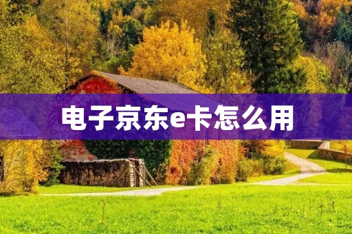 电子京东e卡怎么用：详细使用指南
