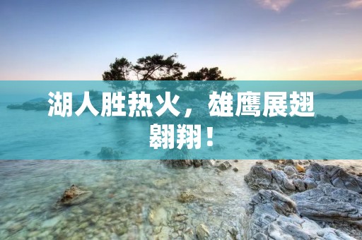 湖人胜热火,雄鹰展翅翱翔! 湖人胜热火,雄鹰展翅翱翔!