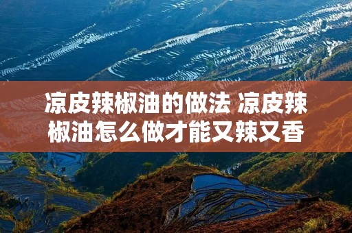 凉皮辣椒油的做法 凉皮辣椒油怎么做才能又辣又香