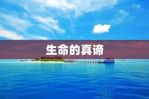 生命的真谛:人生哲理感悟 生命的真谛:人生哲理感悟