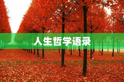 人生哲学语录:探索人生的意义与价值