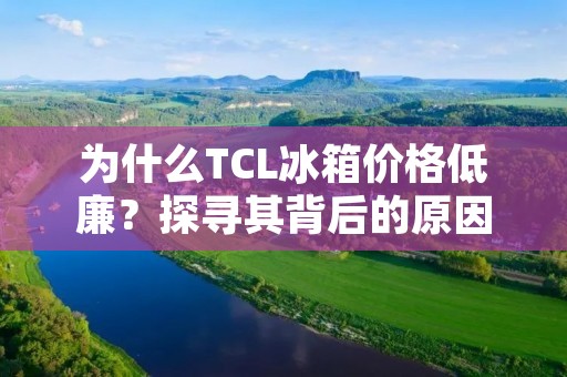 为什么TCL冰箱价格低廉?探寻其背后的原因 为什么TCL冰箱价格低廉?探寻其背后的原因