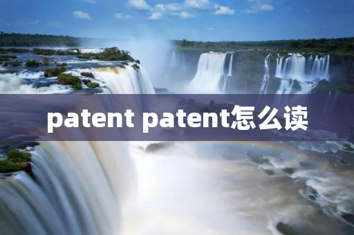 patent patent怎么读