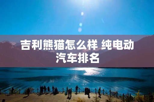 吉利熊猫怎么样 纯电动汽车排名 吉利熊猫怎么样 纯电动汽车排名