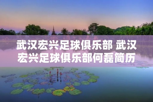 武汉宏兴足球俱乐部 武汉宏兴足球俱乐部何磊简历 武汉宏兴足球俱乐部 武汉宏兴足球俱乐部何磊简历