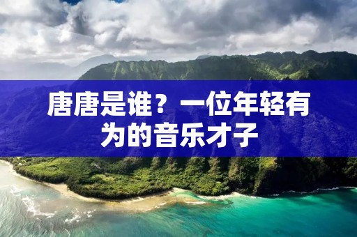 唐唐是谁?一位年轻有为的音乐才子