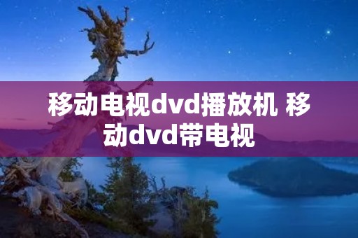 移动电视dvd播放机 移动dvd带电视
