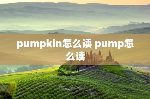 pumpkin怎么读 pump怎么读