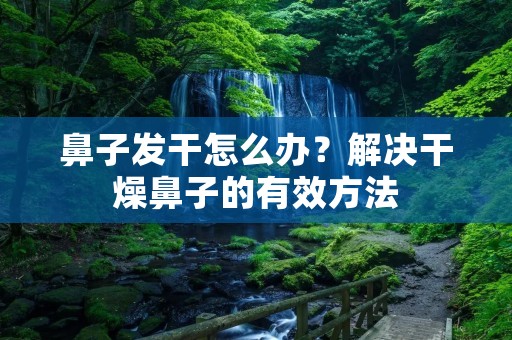 鼻子发干怎么办？解决干燥鼻子的有效方法