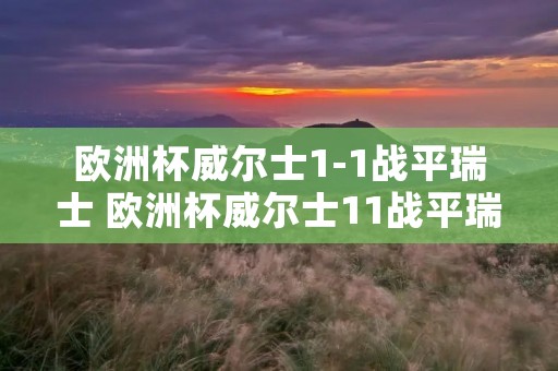 欧洲杯威尔士1-1战平瑞士 欧洲杯威尔士11战平瑞士比分