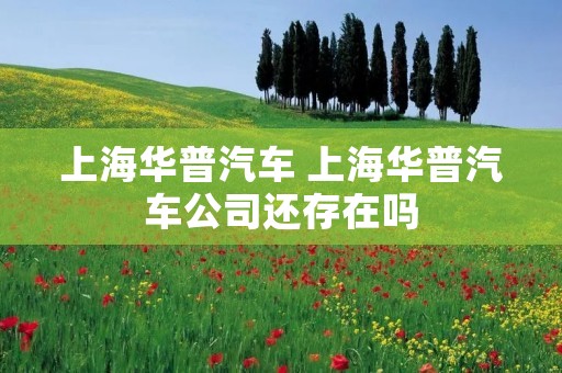 上海华普汽车 上海华普汽车公司还存在吗