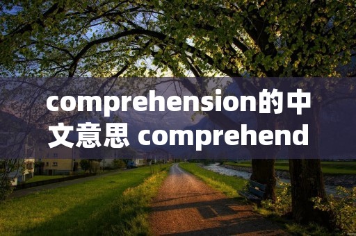 comprehension的中文意思 comprehend中文意思 comprehension的中文意思 comprehend中文意思
