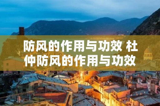 防风的作用与功效 杜仲防风的作用与功效