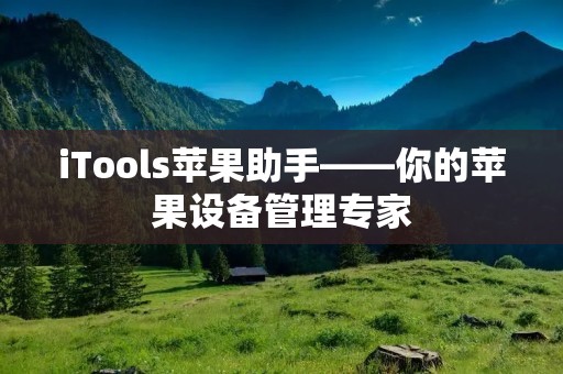 iTools苹果助手——你的苹果设备管理专家 iTools苹果助手——你的苹果设备管理专家