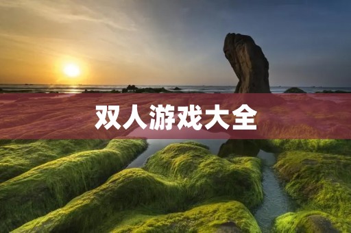 双人游戏大全:让你和TA一起畅玩游戏的好去处 双人游戏大全:让你和TA一起畅玩游戏的好去处