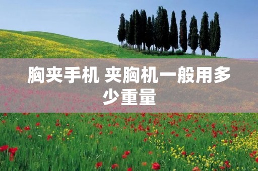 胸夹手机 夹胸机一般用多少重量 胸夹手机 夹胸机一般用多少重量