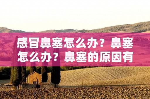 感冒鼻塞怎么办？鼻塞怎么办？鼻塞的原因有很多，最常见的就是感冒引起的。感冒鼻塞给我们的生活带来了很多不便，影响了我们的呼吸和睡眠质量。那么，在面对鼻塞的时候，我们应该怎么办呢？