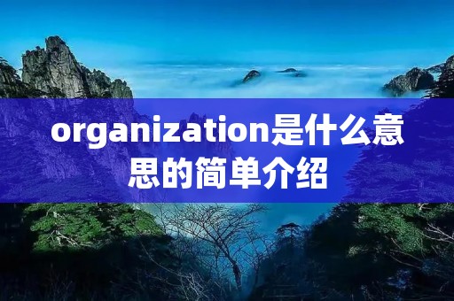 organization是什么意思的简单介绍 organization是什么意思的简单介绍