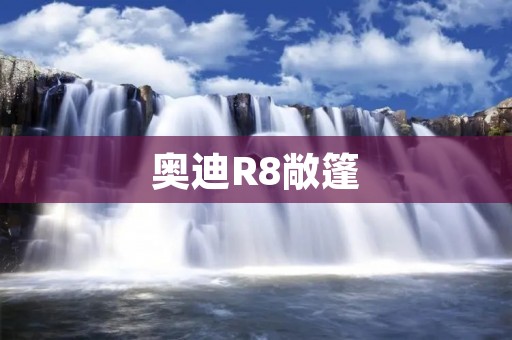 奥迪R8敞篷:奢华与速度的完美结合 奥迪R8敞篷:奢华与速度的完美结合