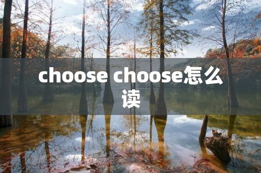 choose choose怎么读