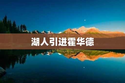 湖人引进霍华德：重返紫金舞台的壮举