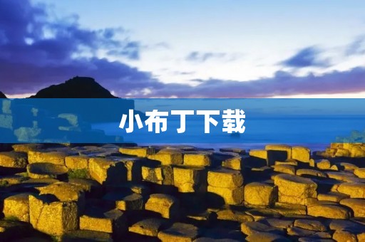 小布丁下载:轻松获取最新应用 小布丁下载:轻松获取最新应用