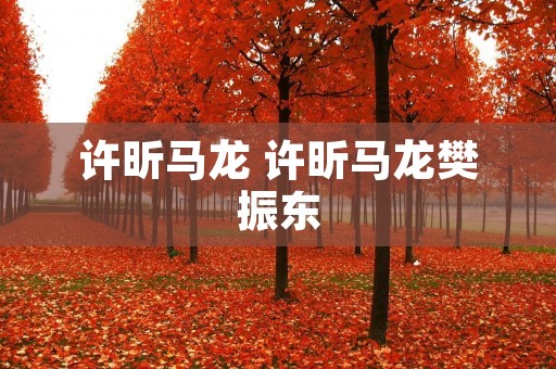 许昕马龙 许昕马龙樊振东 许昕马龙 许昕马龙樊振东
