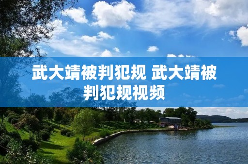 武大靖被判犯规 武大靖被判犯规视频