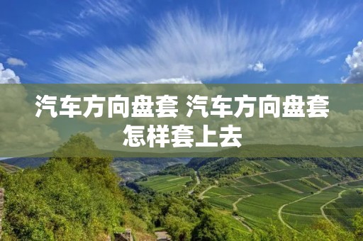 汽车方向盘套 汽车方向盘套怎样套上去