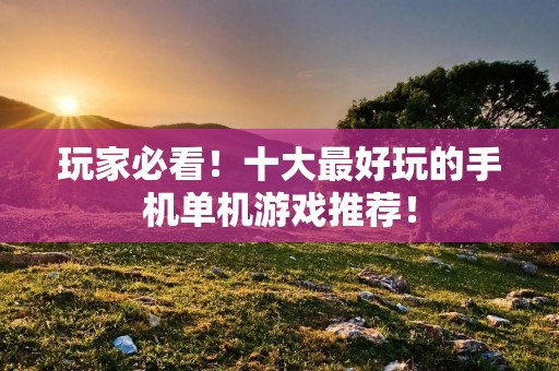 玩家必看！十大最好玩的手机单机游戏推荐！