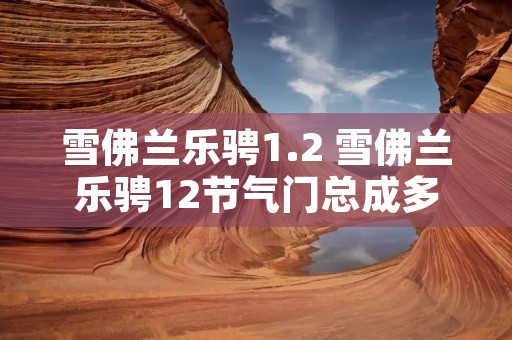 雪佛兰乐骋1.2 雪佛兰乐骋12节气门总成多少钱