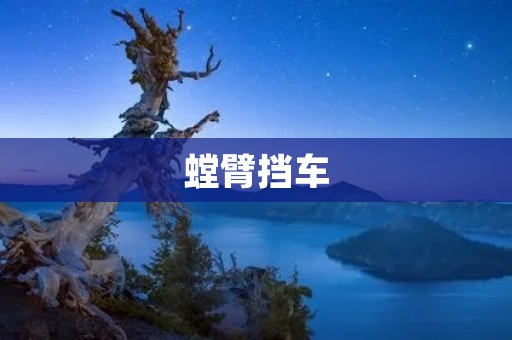 螳臂挡车:一种勇敢而愚蠢的行为