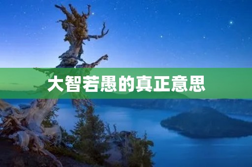 大智若愚的真正意思:超越智慧的智慧
