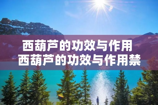 西葫芦的功效与作用 西葫芦的功效与作用禁忌