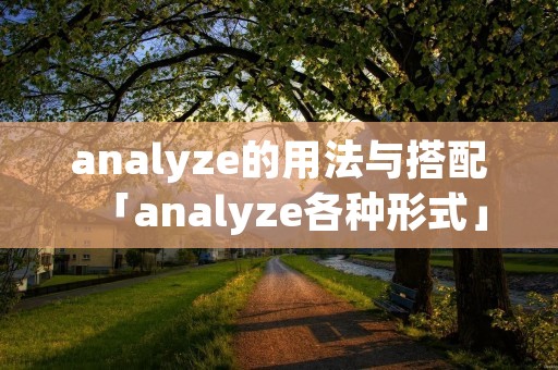 analyze的用法与搭配「analyze各种形式」