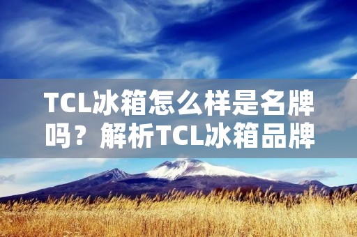 TCL冰箱怎么样是名牌吗?解析TCL冰箱品牌的优势与不足 TCL冰箱怎么样是名牌吗?解析TCL冰箱品牌的优势与不足